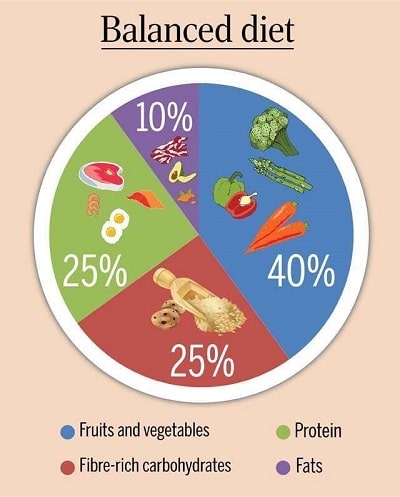 Diet Chart For Weight Gain For In Bengali